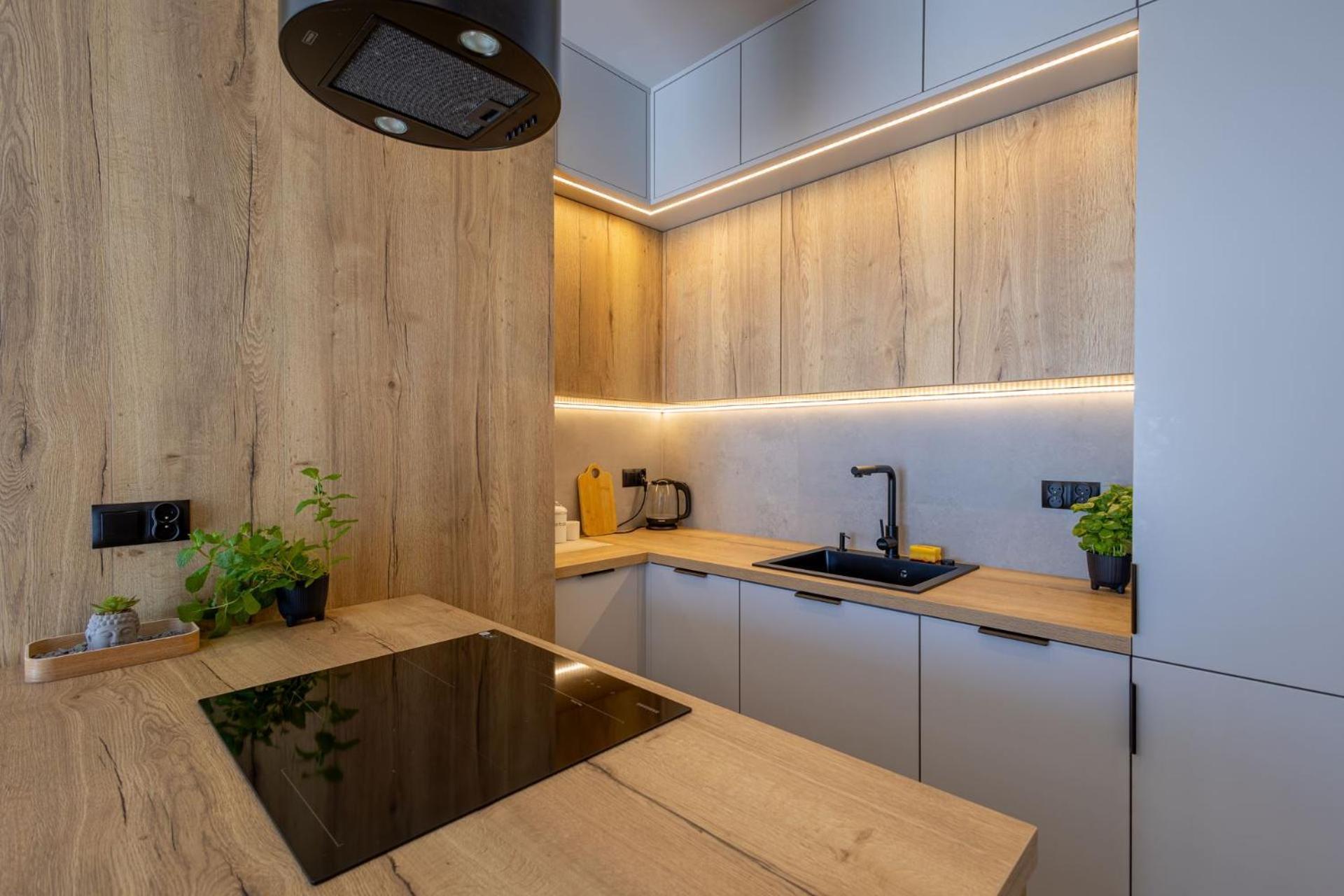 Vip Apartament Kopisto Centrum رشيشوف المظهر الخارجي الصورة